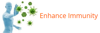 enhance immunity en 2