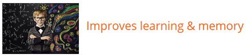 improves learning and memory 2